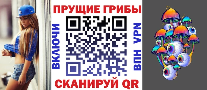 МЕГА tor  продажа наркотиков  Сергач  Псилоцибиновые грибы MAGIC MUSHROOMS 